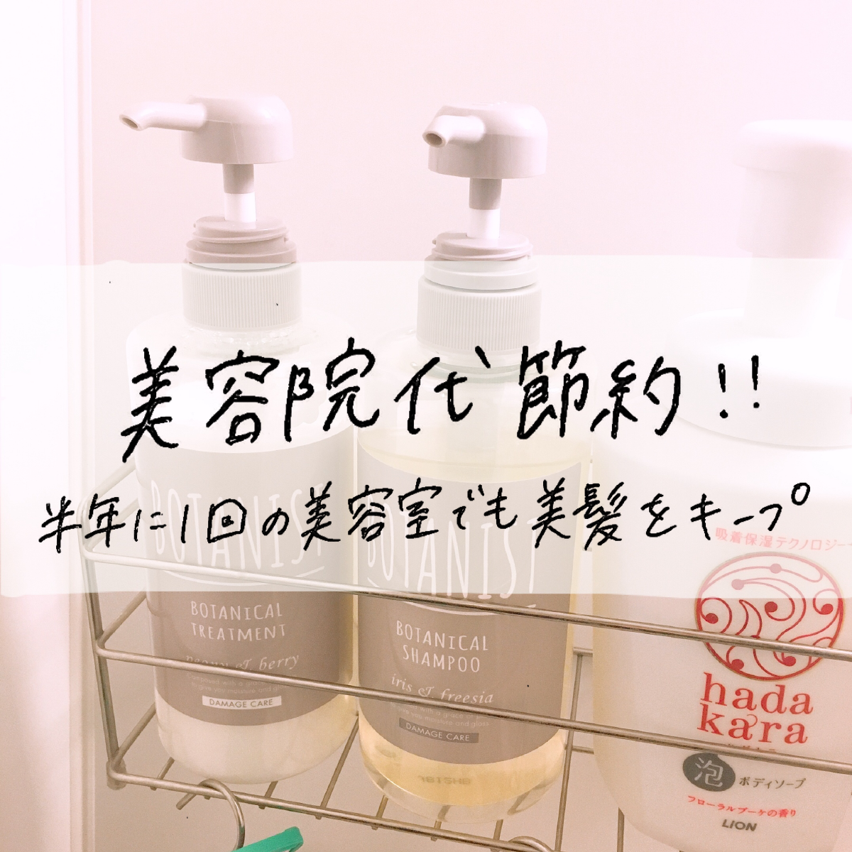 美容院代節約 半年に1回の美容室でも美髪をキープ おすすめシャンプーも紹介 Mii 楽しい節約貯金生活